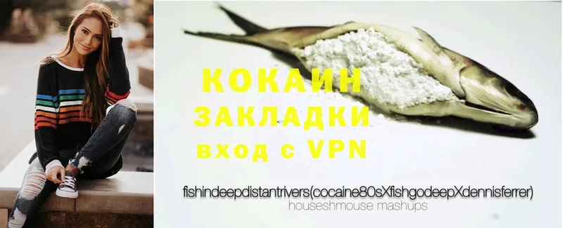 наркота  Карачаевск  Кокаин FishScale 